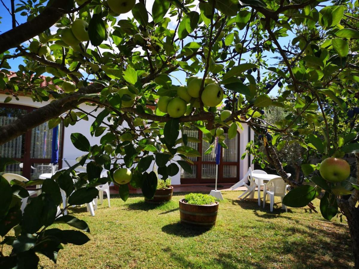 Agriturismo Valle Dei Venti Populonia Exterior foto