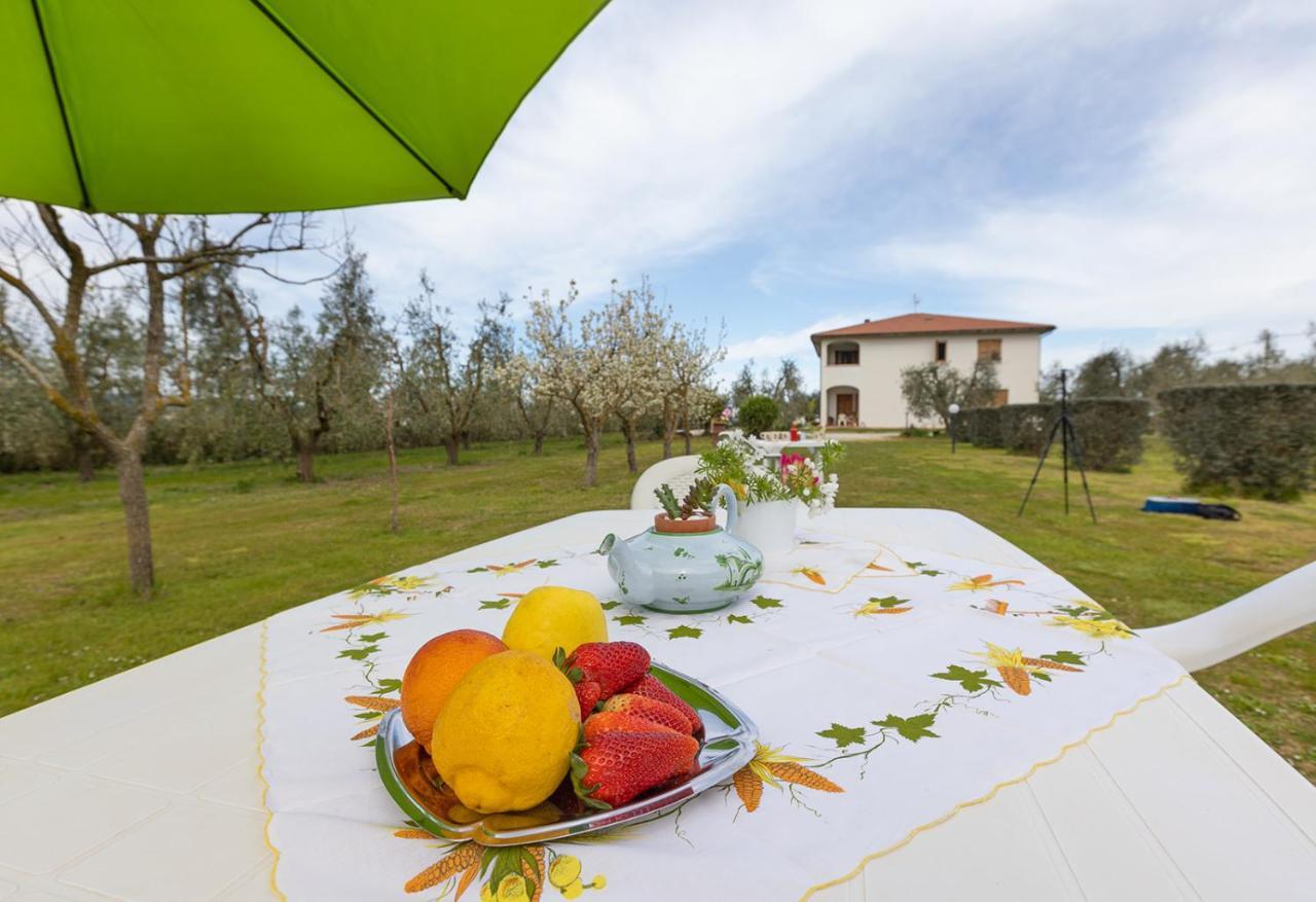 Agriturismo Valle Dei Venti Populonia Exterior foto