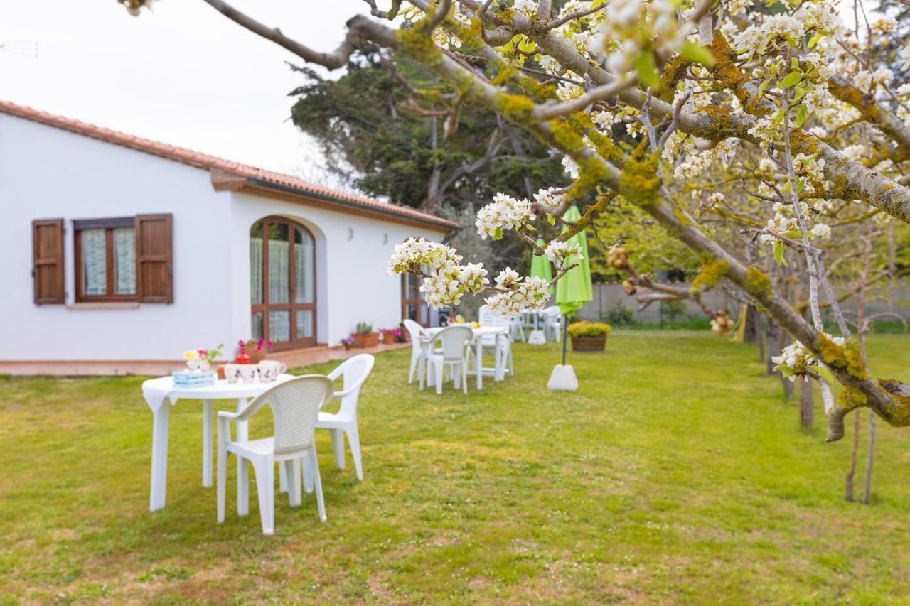 Agriturismo Valle Dei Venti Populonia Exterior foto