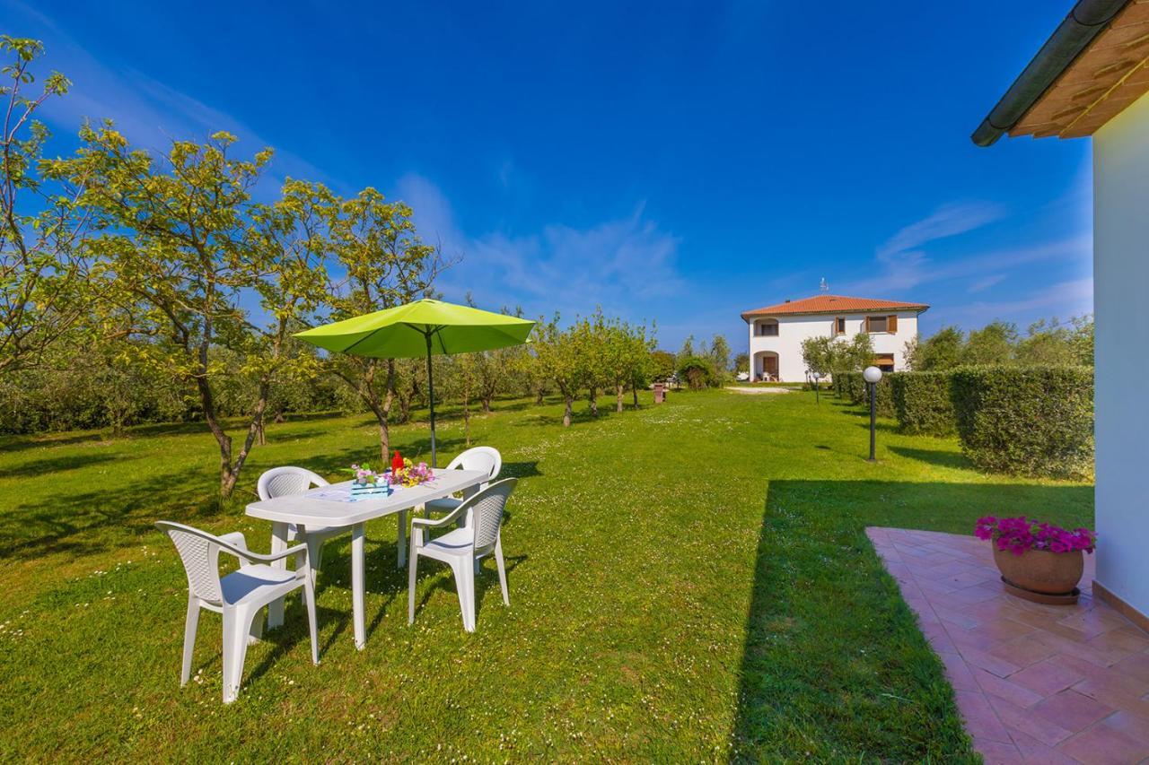 Agriturismo Valle Dei Venti Populonia Exterior foto