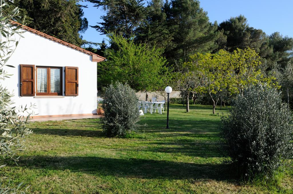 Agriturismo Valle Dei Venti Populonia Exterior foto