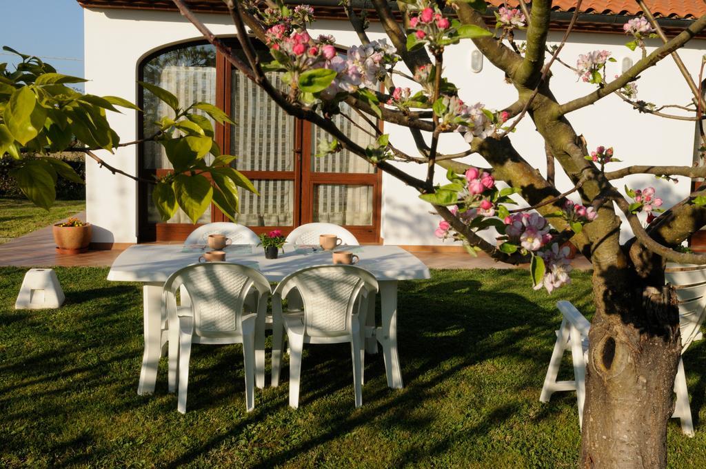 Agriturismo Valle Dei Venti Populonia Exterior foto