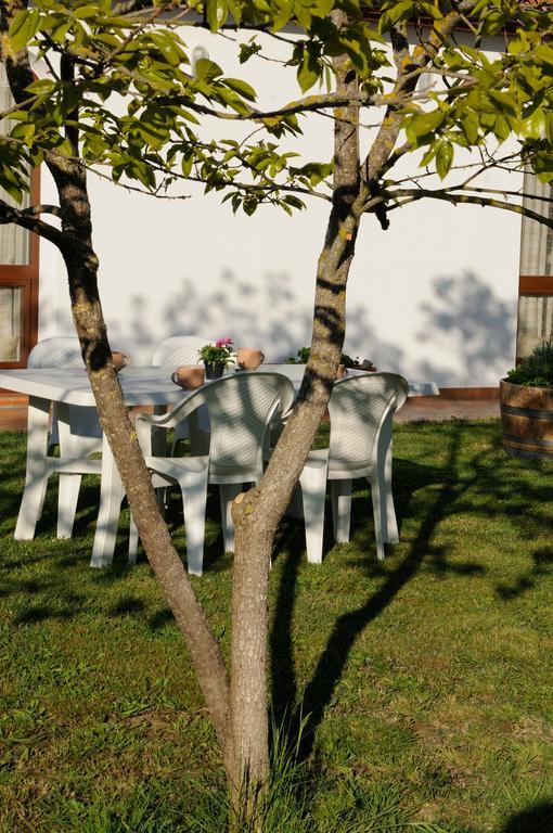 Agriturismo Valle Dei Venti Populonia Exterior foto