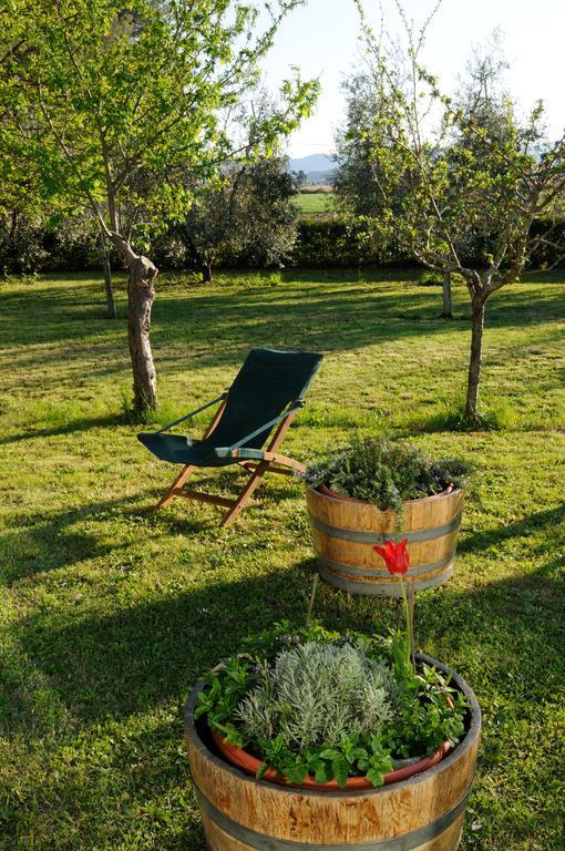 Agriturismo Valle Dei Venti Populonia Exterior foto